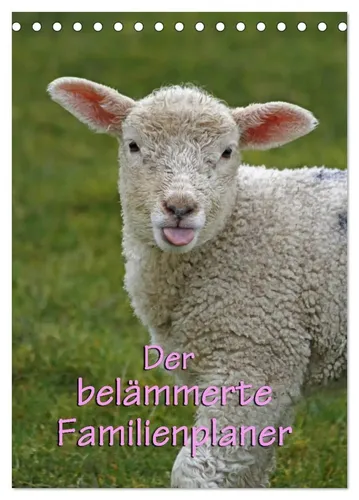 Antje Lindert-Rottke | Der belämmerte Familienplaner (Tischkalender 2026 DIN...