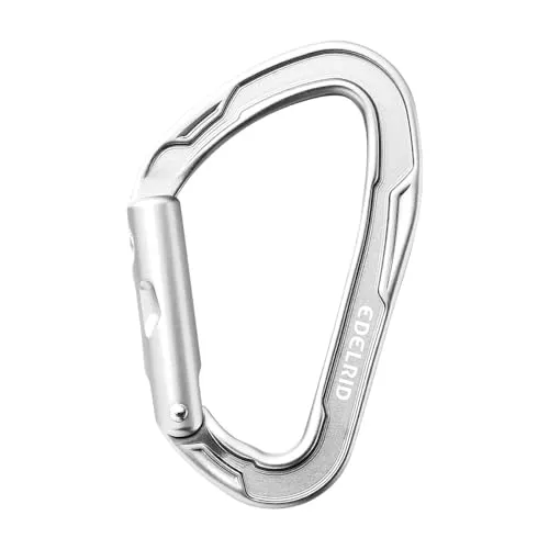 Edelrid Mission Straight Karabiner (Größe One Size, silber)