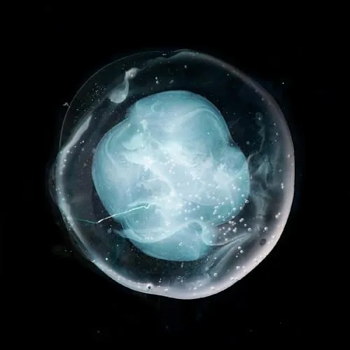 Produktbild The Undivided Five