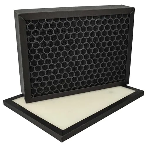 vhbw 2-teiliges Filter-Set kompatibel mit Stadler Form Viktor Luftreiniger - Aktivkohlefilter, Vorfilter - Ersatz für V-010