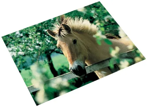 Läufer Schreibunterlage Pferd am Weidezaun 400 x 530 mm