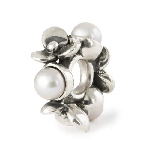 Trollbeads Frühlings Kollektion Blühende Verbindungen 2024 Silberbeads