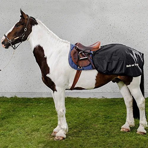 Nierendecke Back on Track für Pferde von Back on Track