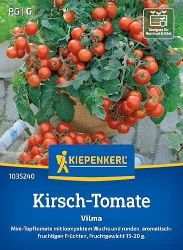 Kiepenkerl Kirsch-Tomatensamen Vilma 1035240 – mini Topftomate - kompakter Wuchs - aromatisch- fruchtig - rund - Saatgut, Samen Gemüse, Gemüsepflanzen