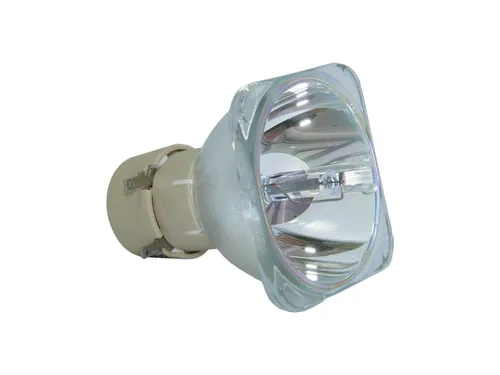 NEC Beamerlampe NP29LP Ersatzleuchtmittel