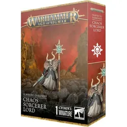 Warhammer Age of Sigmar Slaves to Darkness Chaos Sorcerer Lord