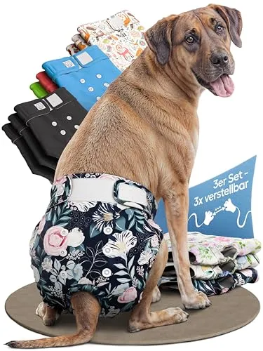 HUND IST KÖNIG Hundewindeln für Hündinnen (3 Stück) von HUND IST KÖNIG