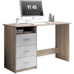 Bega Consult Adria Schreibtisch