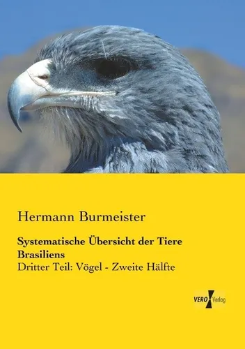 Produktbild Vero Burmeister: Systematische Übersicht der Fachliteratur