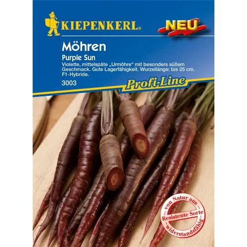 Möhre Purple Sun F1, violette mittelspäte