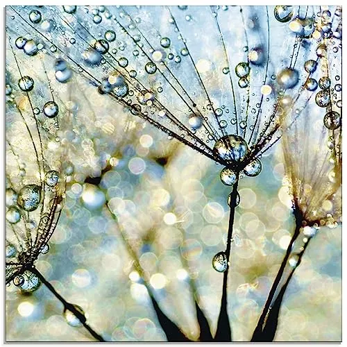 ARTland Wanddeko Glasbilder Wandbild Glas Bild einteilig 40 x 40 cm Quadratisch Wellness innere Ruhe Pflanzen Blumen Pusteblume Regen Tau Wasser Diamanten S9MF