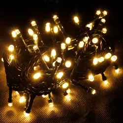 120er Led-lichterkette Innen Und Aussen-dlk050wg