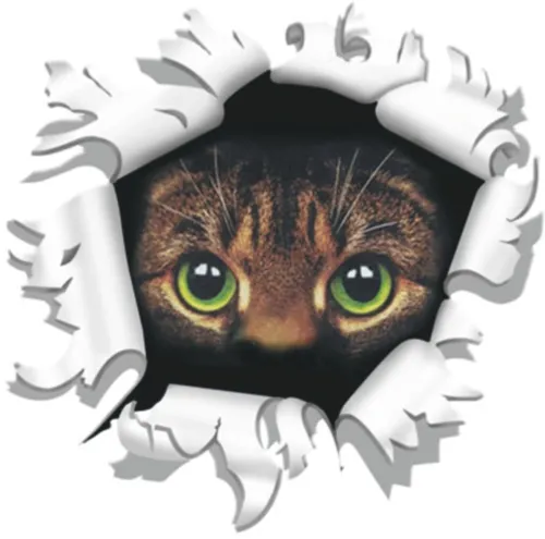 Hermann Schütz Autoaufkleber Einschussloch Katze Ø 8 cm Autoaufkleber