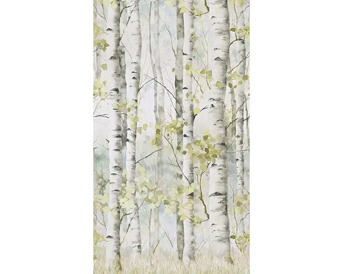 Fototapete Digitaldruck Vlies A77301 Betula 3-tlg. 280 x 159 cm - Dekorative Fototapete mit ansprechendem Baumdesign, ideal für Flur, Küche oder Wohnzimmer. Verleihen Sie Ihren Räumen eine frische Note und schaffen Sie eine einladende Atmosphäre.
