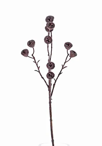 artplants.de Künstlicher Zweig Eukalyptus Zweig Basilius mit Früchten, braun, 60cm