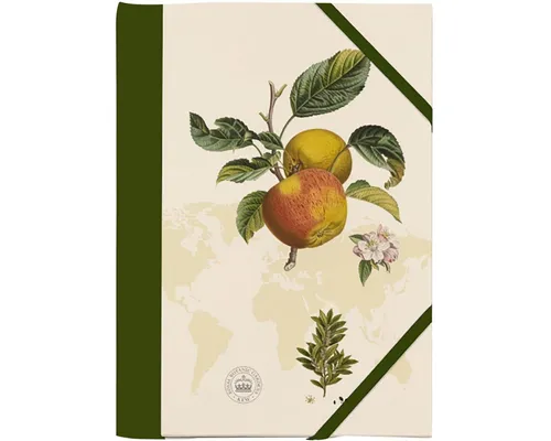 Gerstenberg Verlag Dokumententasche Kew Gardens Sammelmappe - Motiv Apfel