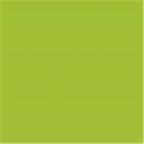 Drucker- & Kopierpapier Grün von Clairefontaine