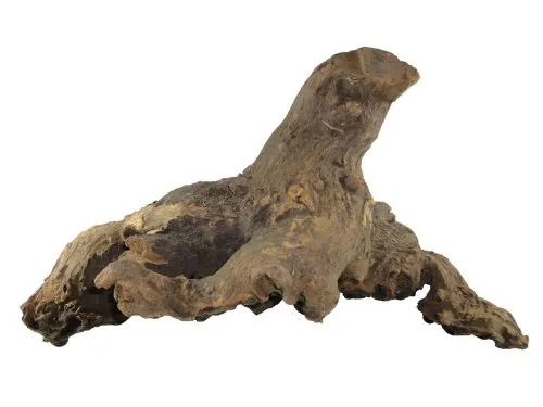 Savannenwurzel 20-30 cm, Dekoration für Aquarium und Terrarium