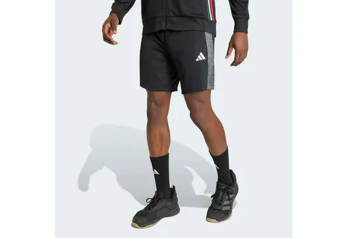 adidas Performance Shorts WORKOUT ESSENTIALS ALL-SET (2-tlg)