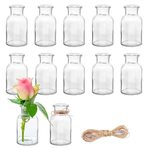 DATEFUN 12 Stück Mini Glasvasen, 125ml kleine Väschen mit Juteschnur, Blumenvasen Tischvasen Glasvasen Dekoflaschen Glasflaschen, Glasfläschchen für Tischdeko Mittelstücke, Hochzeitsdekorationen