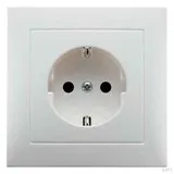 Berker 47429909 Steckdose mit Abdeckplatte