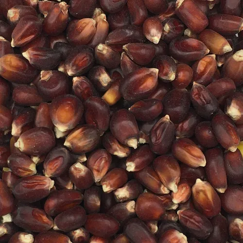 Gladen - Mais Bordeaux rot - 2,5kg Tierfutter