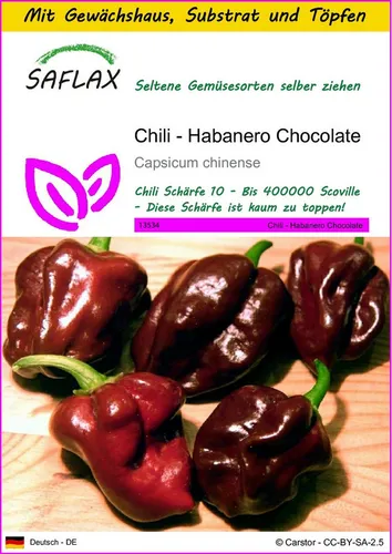 SAFLAX Gemüsesamen SAFLAX - Anzuchtset - Chili - Habanero Chocolate