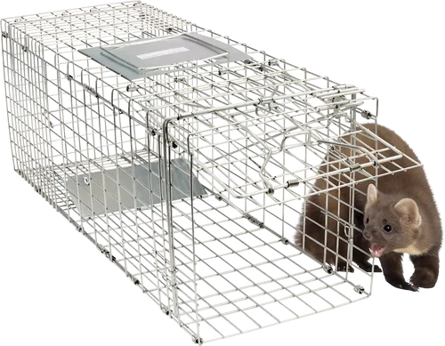 GARDIGO Marder- & Katzenlebendfalle - Tierfreundliche Lebendfalle für Marder und Katzen, wiederverwendbar und ideal für Haus, Dachboden, Garage und Garten.