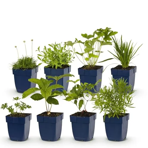 GreenboutiQ in weiß von Green boutiQ