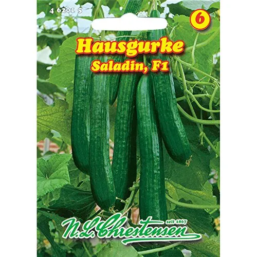Hausgurke Saladin F1 (Portion)