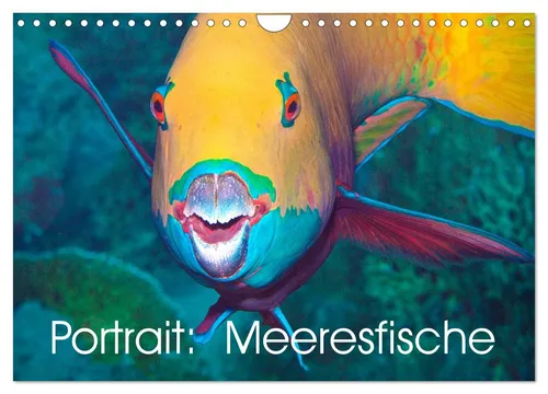 Portrait: Meeresfische Wandkalender 2026 - Hochwertiger Wandkalender mit 12 beeindruckenden Fotomotiven der Unterwasserwelt. Ideal für Fischliebhaber und als Geschenk für jeden Anlass.