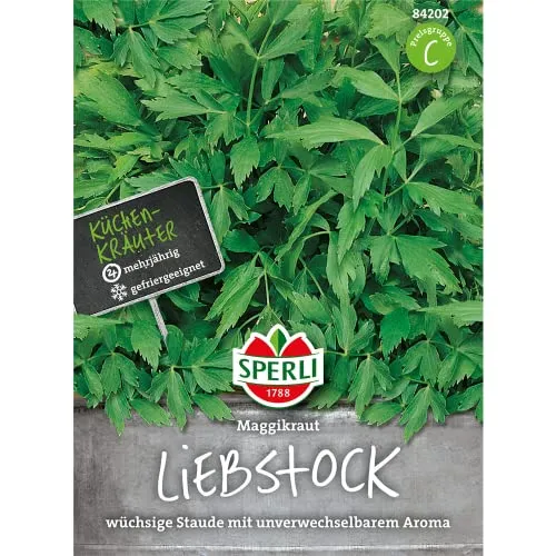 Liebstock (Liebstöckel) Maggikraut