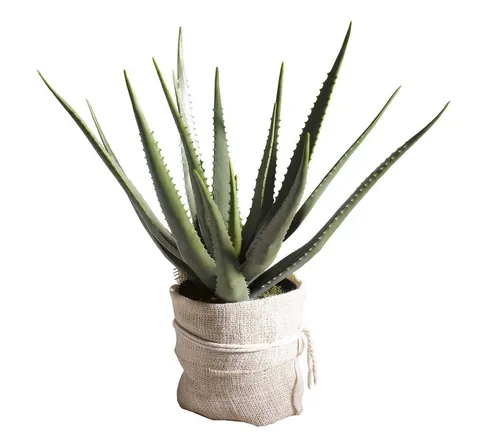 Aloe Vera Kunstpflanze 70 cm - Dekopflanze aus Kunststoff - Künstliche Pflanzen, pflegeleicht und immer grün, ideal für eine stilvolle Raumgestaltung ohne Aufwand.