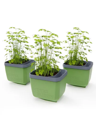 HERBS BUDDY 3er dunkelgrün - Garten-Zubehör: Lebensmittelechte Anzuchtgefäße aus Polypropylen, ideal für den Anbau von Kräutern, 3 Stück im praktischen Set.
