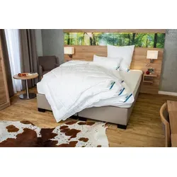 Beco Microfaserbettdecke Royal Soft Duo 135x200 cm - Winterdecken mit exzellenter Wärmeisolierung, ideal für Allergiker und kuschelige Nächte dank Peach-Touch-Veredelung für ein besonders weiches Gefühl.