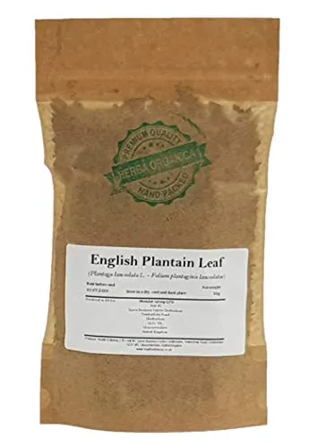 Spitzwegerich Blatt / Plantago Lanceolata L / English Plantain Leaf # Herba Organica # Spießkraut, Lungenblattl, Schlangenzunge (50g)