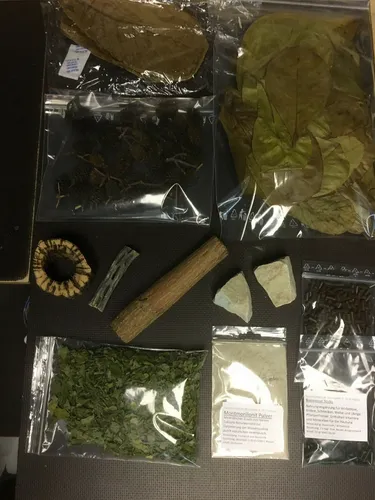 Aquarium Natur Pur Paket 01 >Worldwide Selection XL< (Set Nr. 01 von vielen)