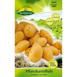 Pflanzkartoffel Annabelle (10 Stück)