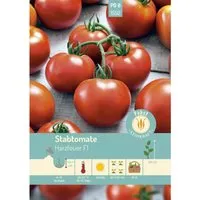 Pabst Keimkraft Stabtomate Sehr Früh & Widerstandsfähig Harzfeuer F1 Saatgut