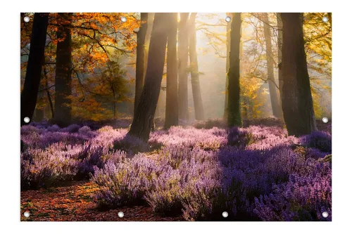 artissimo XXL Garten-Poster Wald 120x80cm – Outdoor-Deko - Wetterfestes XXL Garten-Poster 120×80 cm mit Waldmotiv – ideal für Garten, Terrasse und Balkon. Bringt natürliche Ruhe und Atmosphäre in Ihren Außenbereich. Einfach aufzuhängen, sorgt für harmonische Akzente.