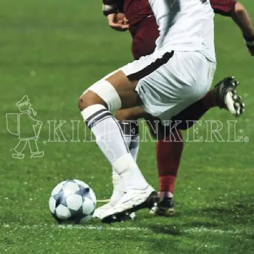 Kiepenkerl RSM 3.2 Profi Sportrasen Regeneration 10 kg - Gräsersamen & -pflanzen, hochwertige Saatgutmischung für eine stabile und strapazierfähige Sportrasenfläche ohne Poa pratensis.