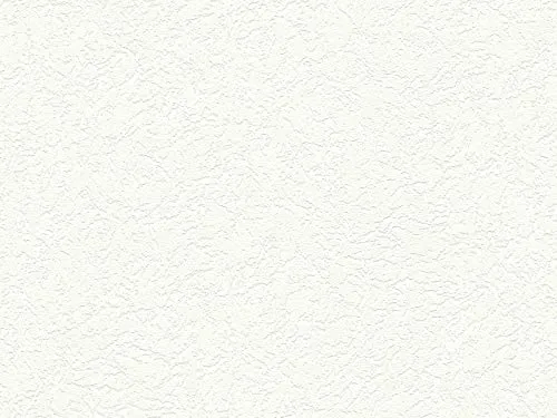A.S. Création 337412 Vliestapete Meisterputz 15 m Alternative zur Rauhfaser Unitapete, 15 x 0,53 m, weiß