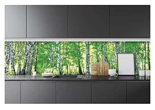 WallArena - Vlies Fototapete Küche Birkenwald Wald Natur Küchentapete 250x60 - Fototapeten - Tapeten - für Wohnzimmer Schlafzimmer - Vliestapete Wandtapete Tapete 3D Effekt- inkl. Kleister