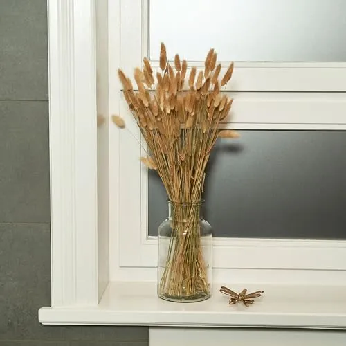 Pampasgras getrocknet Hasenschwanzgras Lagurus getrocknet Trockenblumen 60 Stück Deko Trockenblumen groß, Boho Deko, getrocknete Blumen Tischdeko, Dekozweige für Trockenblumenstrauß