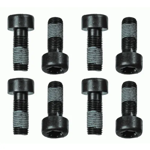 Sachs Schraubensatz, Schwungrad 1874 000 060