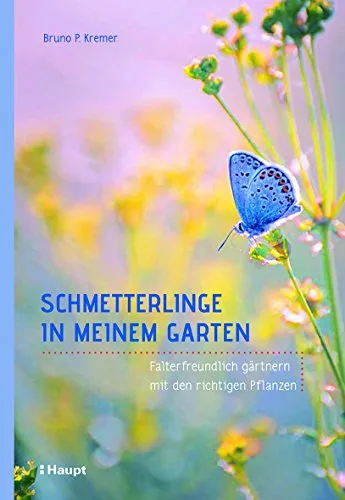 Schmetterlinge in meinem Garten: Falterfreundlich gärtnern mit den richtigen Pflanzen