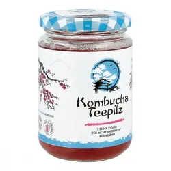 Kombucha Teepilz - Tee, fermentierter Teepilz für die Herstellung von gesundem Kombucha, reich an Probiotika und ideal für Ihr Wohlbefinden.