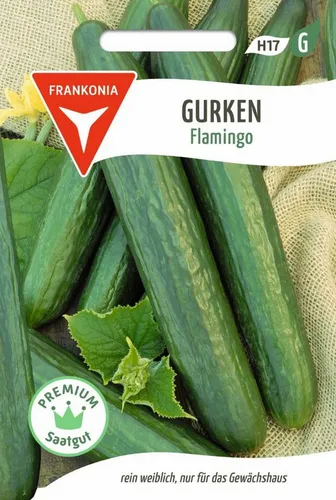 FRANKONIA Gemüsesamen Salatgurke, Flamingo F1 - Gurken-Samen Saatgut Salat-Samen Samen, Cucumis sativus