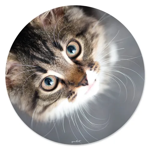 Mauspad Katzenblick I Ø 22 cm I dv_421