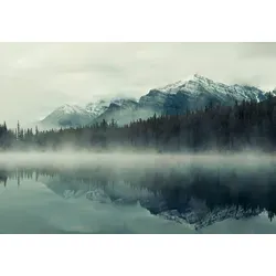 Wallarena Fototapete Berge Wald im Nebel - Fototapete für Wohnzimmer oder Schlafzimmer, dimensionsstabil und geruchsneutral, ideal für eine entspannende Naturatmosphäre